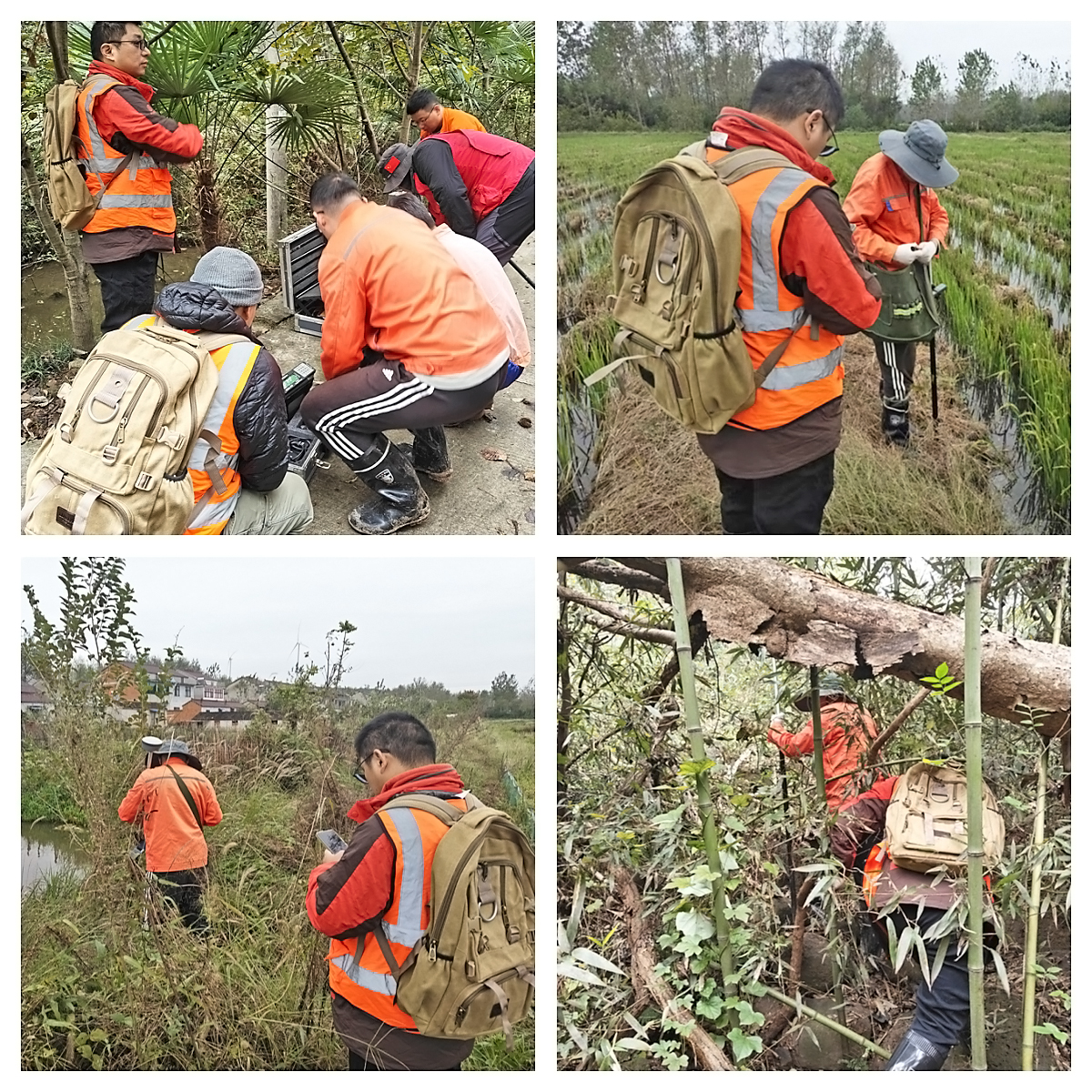 大队鹰咀山地区铜钼多金属矿普查项目正式启动